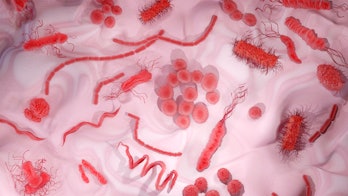 Illustration showing different shapes and types of bacteria on a surface